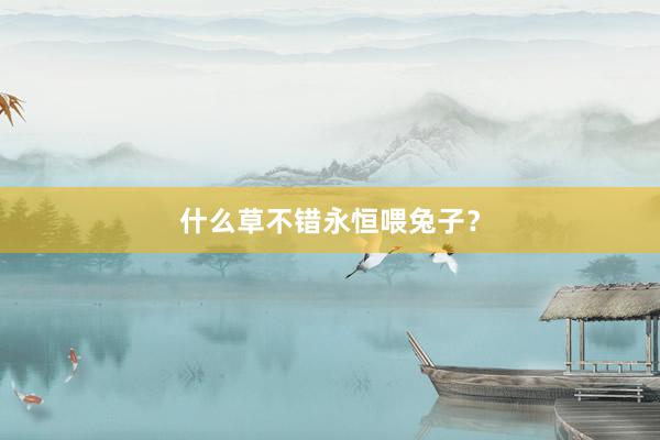 什么草不错永恒喂兔子？